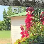 Podere Venanzio Lido di Camaiore